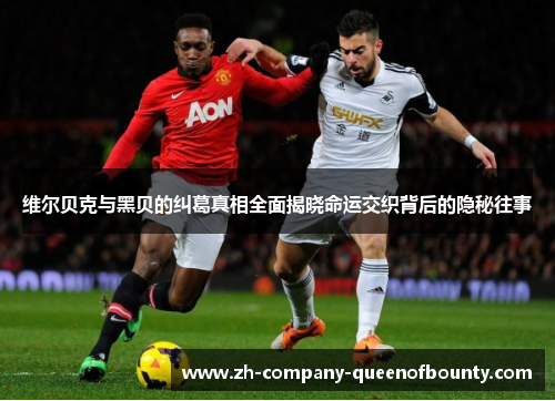 维尔贝克与黑贝的纠葛真相全面揭晓命运交织背后的隐秘往事