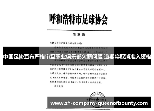 中国足协宣布严格审查职业俱乐部欠薪问题 逾期将取消准入资格