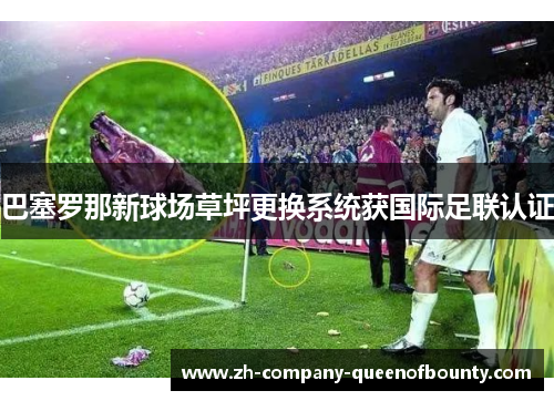 巴塞罗那新球场草坪更换系统获国际足联认证